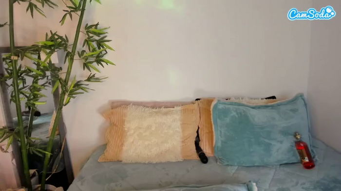 liliimoon