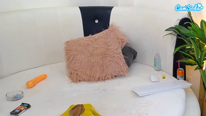 cynthiaadamss