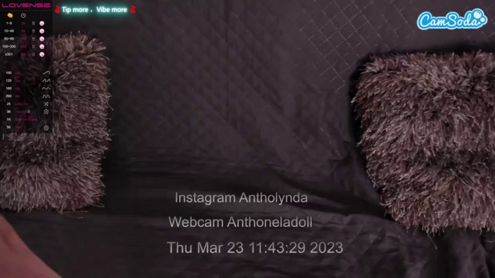 anthoneladoll