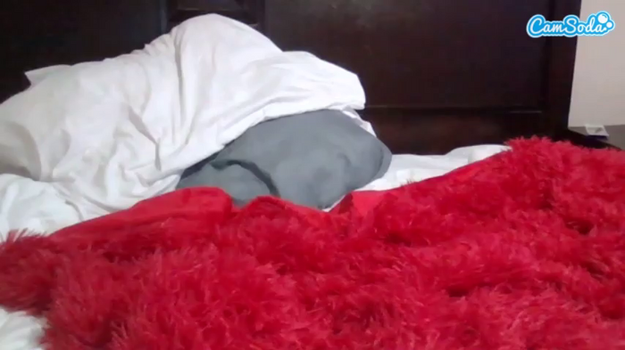 jaydadior