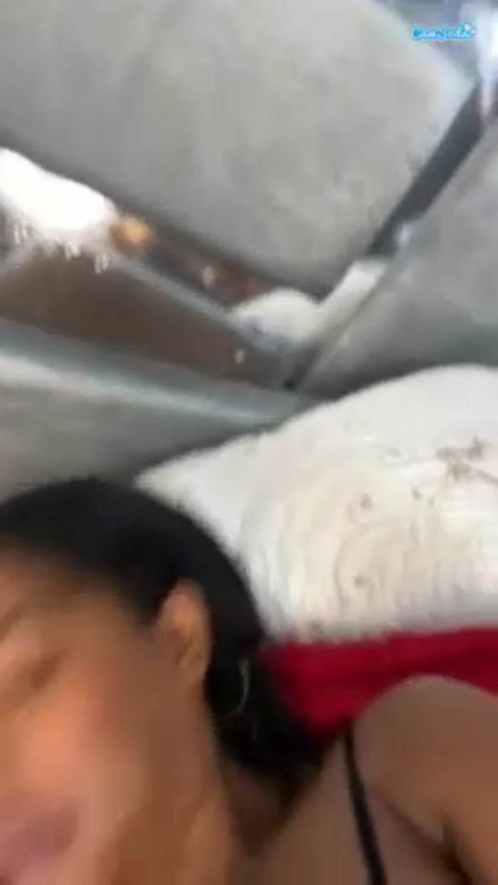 saamytits