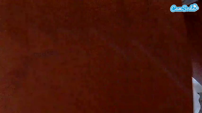 secretsunkitty