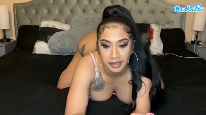 asiastacxxx