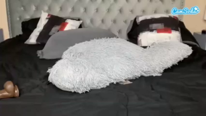 asiastacxxx