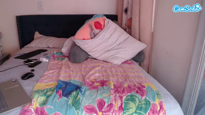 geishapaige
