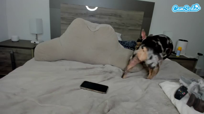 bbygirlzoe
