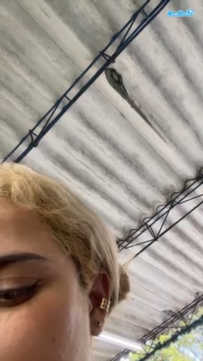 sabrinaparish