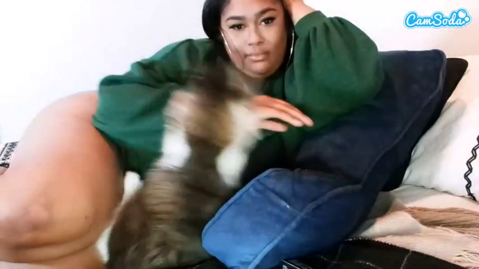 misszylahd