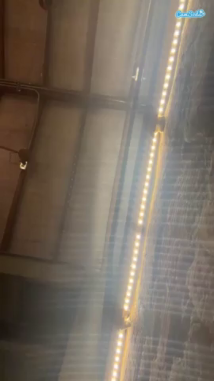 anastaxialynn