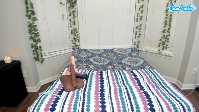 bigbootysarenalove