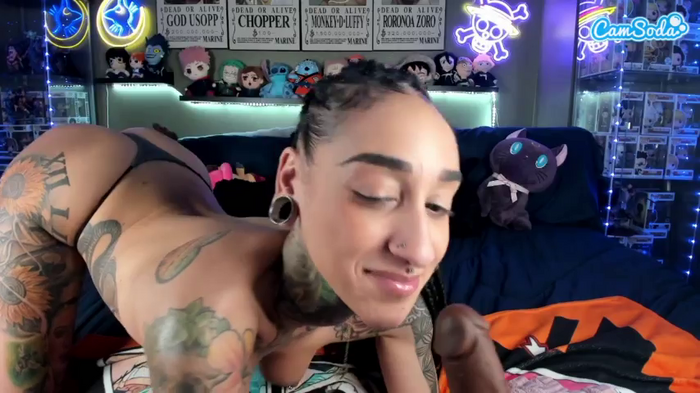 starryari69