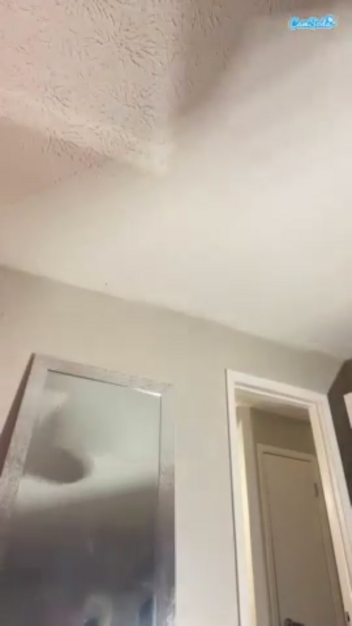 tastethepeach