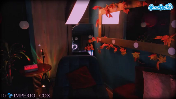 heidicox