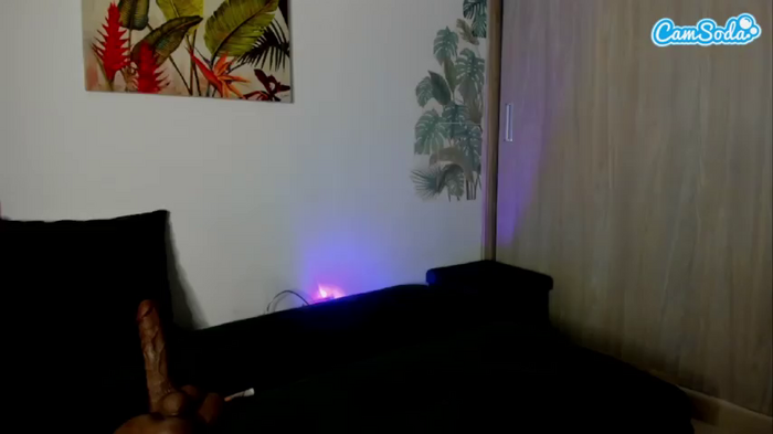 sugarcataleya