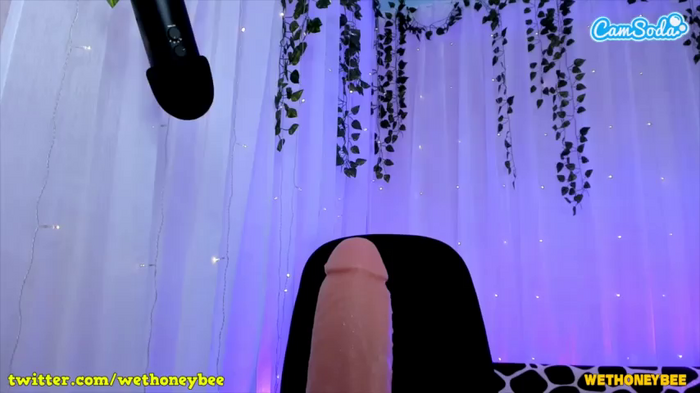 wethoneybee