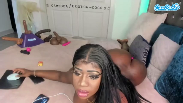 exotica-coco