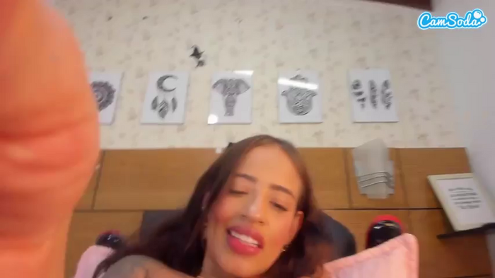 mssburbuja