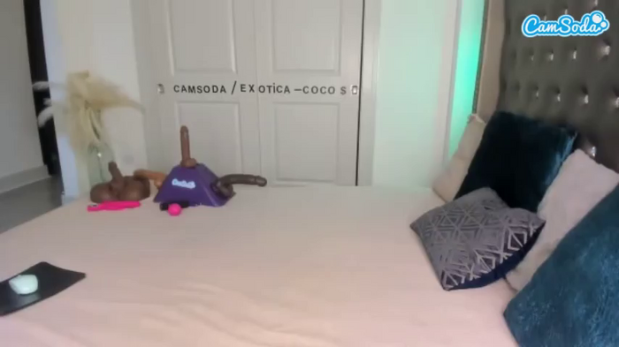 exotica-coco