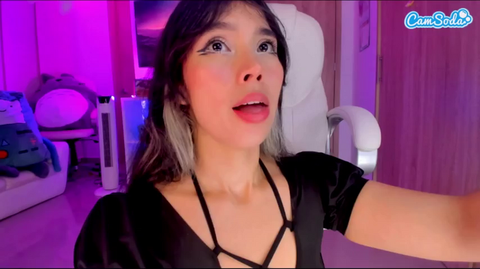 nicollemeyer