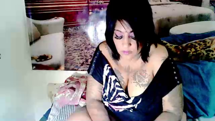 IndianCatz