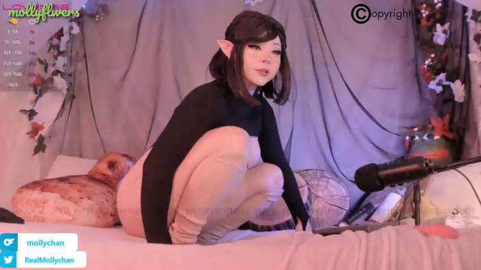 mollyflwers