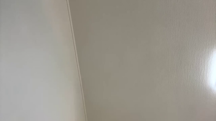 laila_laurent