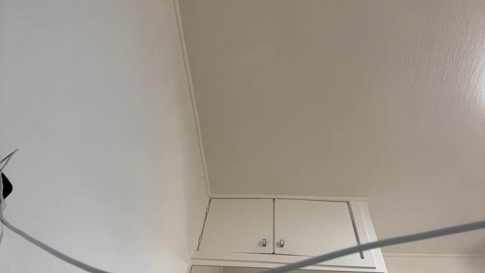 laila_laurent