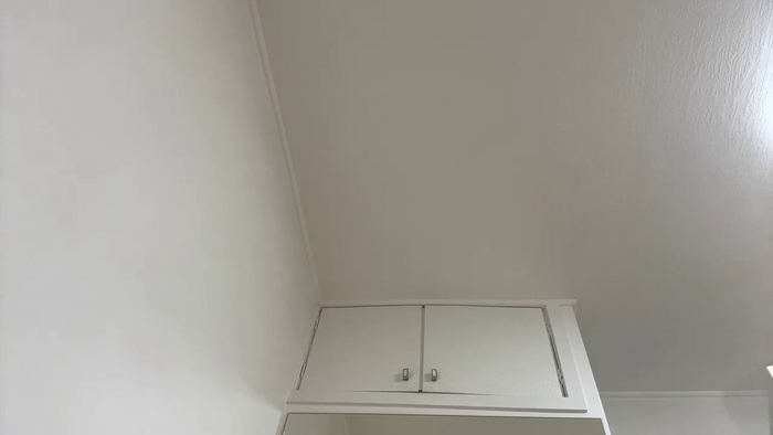 laila_laurent