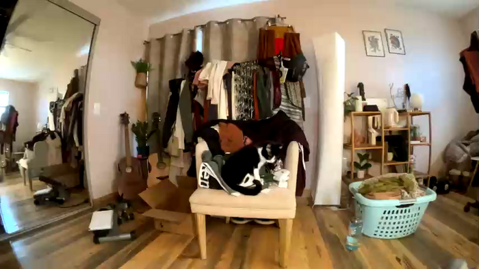 emersoncane