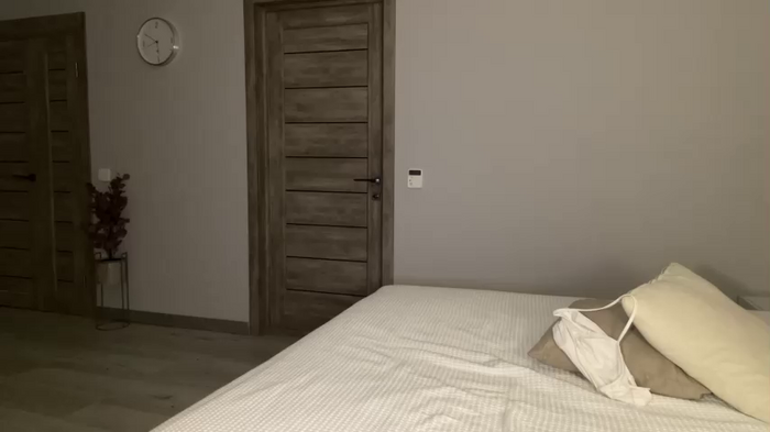 anibutler