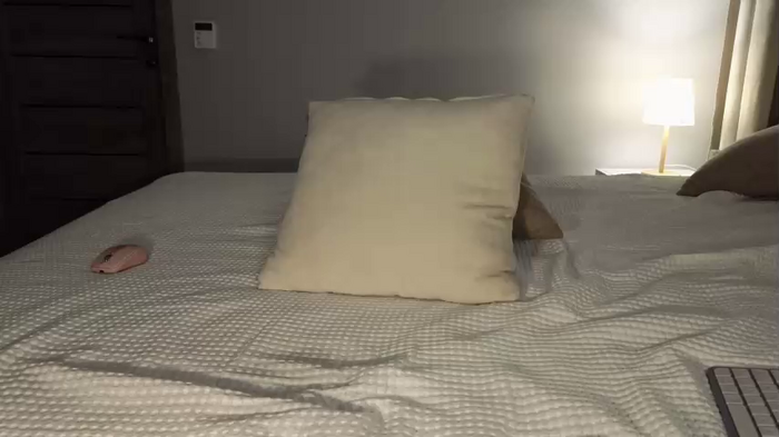 anibutler