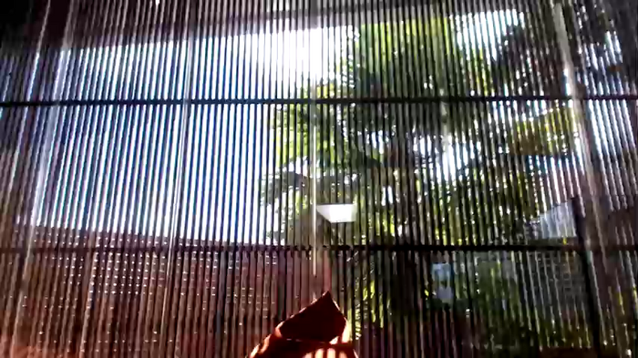 killer__tits