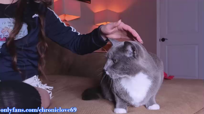 chroniclove