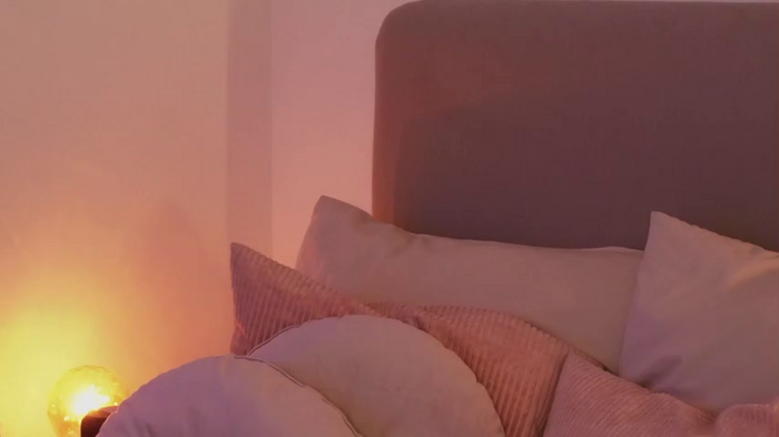 _sexi_lexi