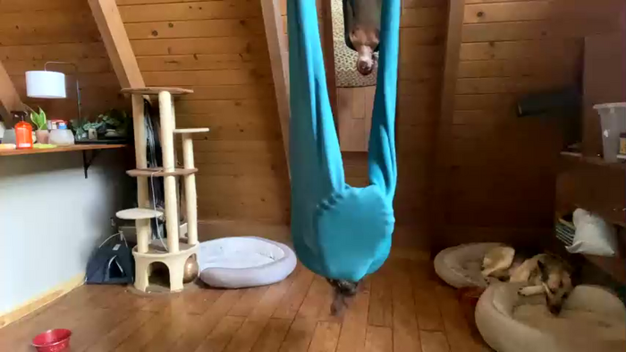 emersoncane