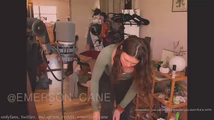 emersoncane