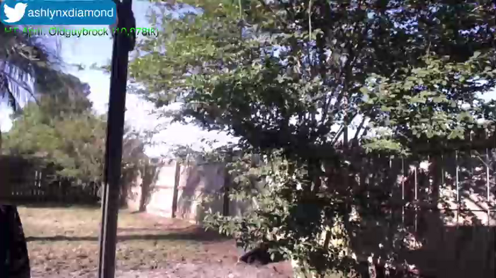 ashlyndiamond