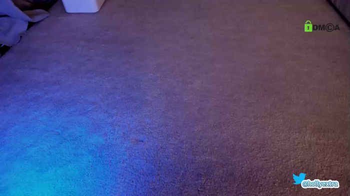 hollyextra