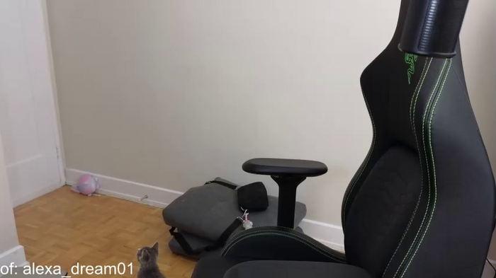 alexa_dream