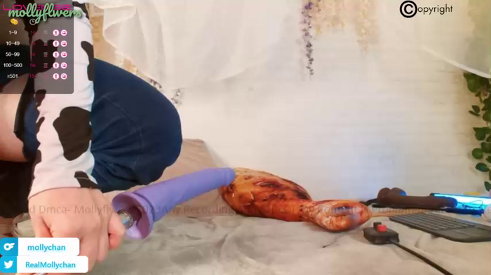 mollyflwers