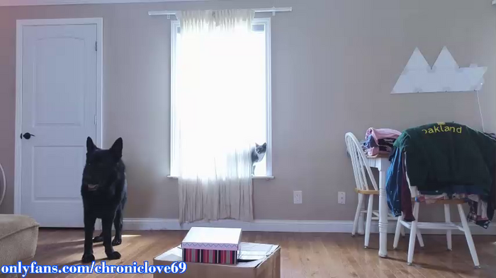 chroniclove