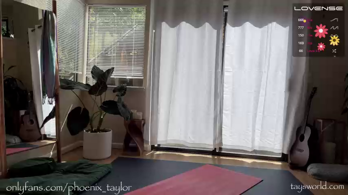 phoenix_taylor