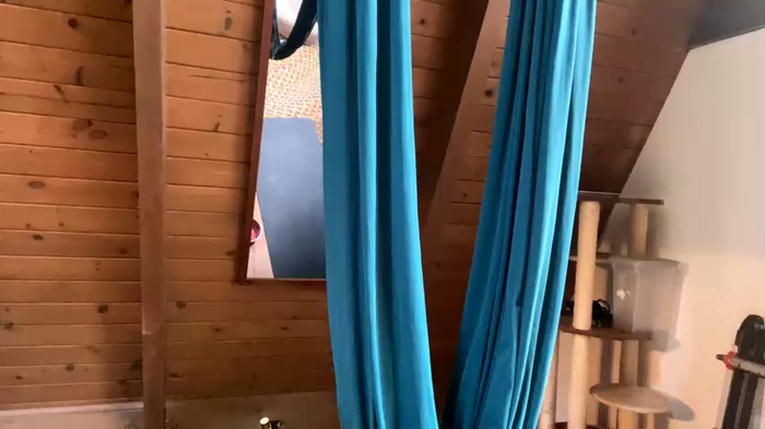 emersoncane