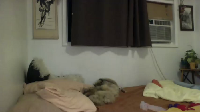 bambidear420