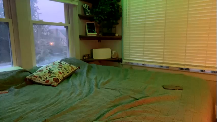 kajirakitten