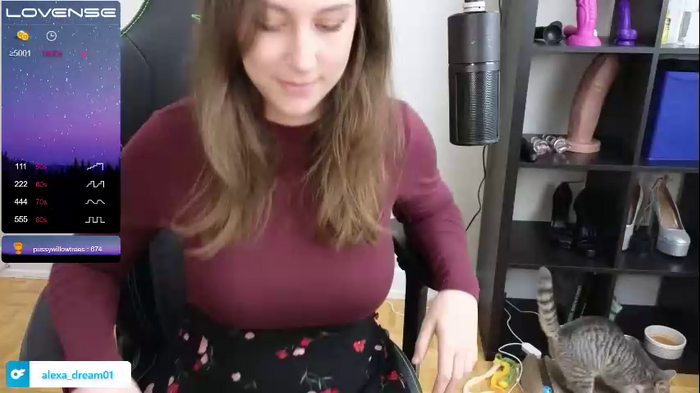 alexa_dream