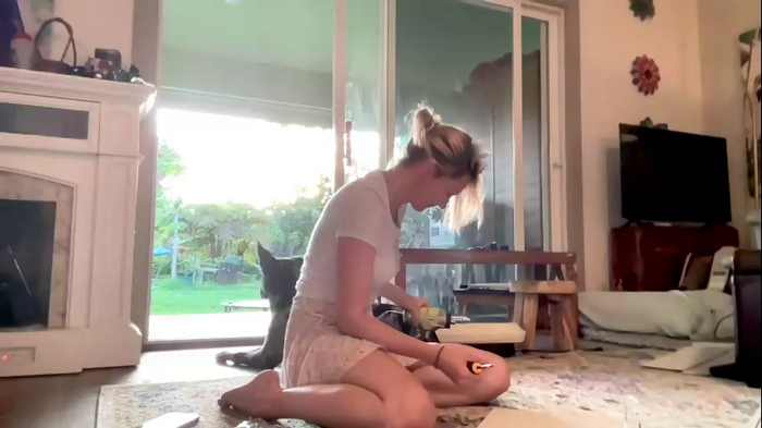 kaileeshy