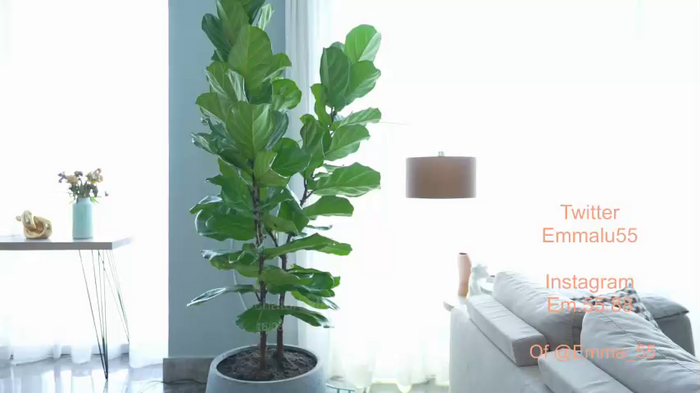 emma_lu1