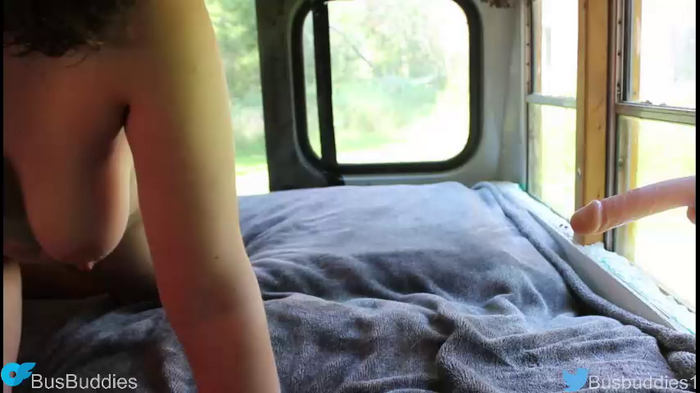 busbuddies