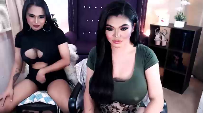 10incheskinkynastytrans